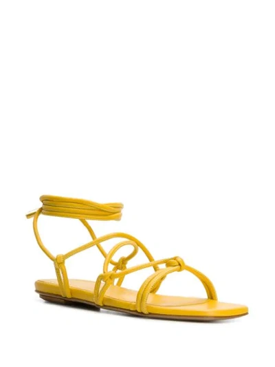 Gia Couture Bella Flat Leather Sandals In Yellow
