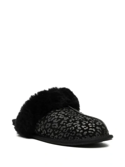 Shop Ugg Scuffette Ii Leopard Print Slippers In Black
