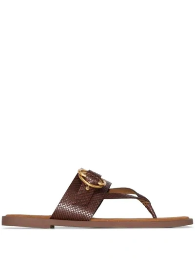 Shop Stella Mccartney Buckled Thong Style Sandals In Brown