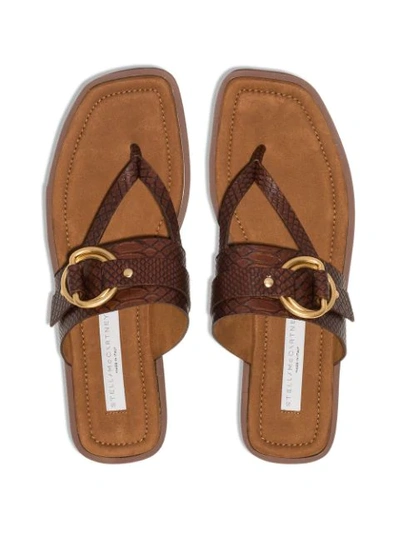Shop Stella Mccartney Buckled Thong Style Sandals In Brown