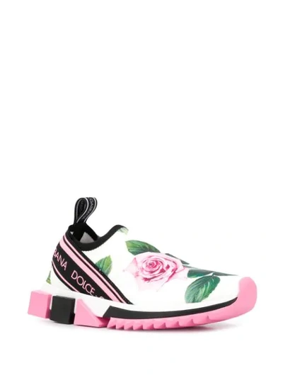 Shop Dolce & Gabbana Rose Print Sorrento Sneakers In White