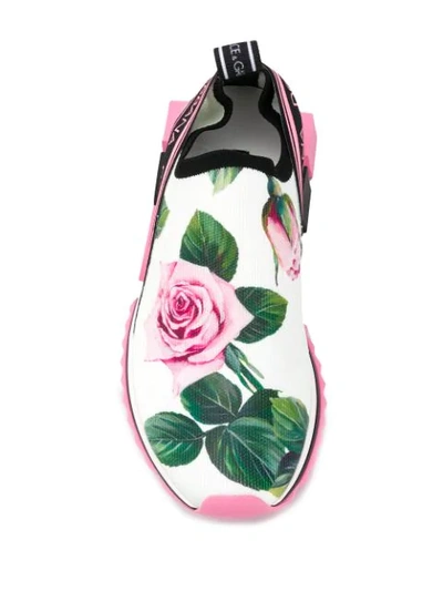 Shop Dolce & Gabbana Rose Print Sorrento Sneakers In White