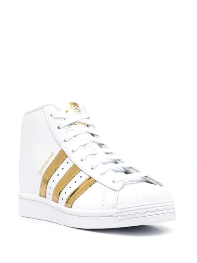 Shop Adidas Originals Superstar Up Wedge Sneakers In White