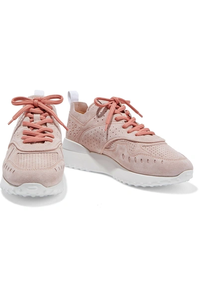 Shop Tod's Perforated Suede Sneakers In Blush
