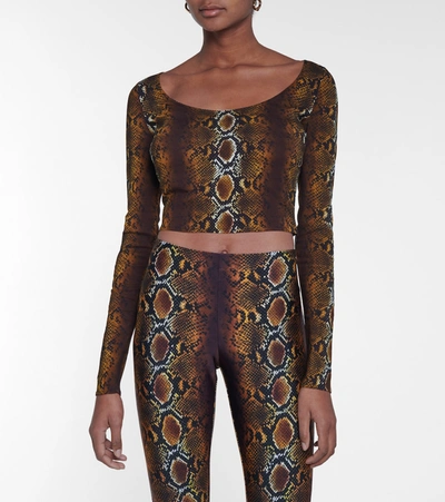 Shop Versace Snake-print Crop Top In Brown