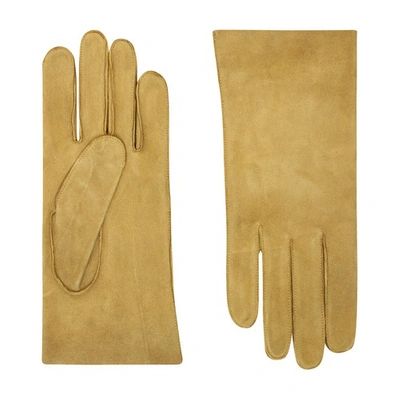 Shop Agnelle Gloves Saumur In Miel