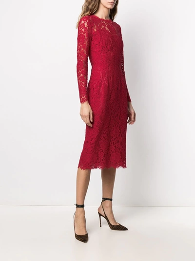 Shop Dolce & Gabbana Midi Lace Dress In Red