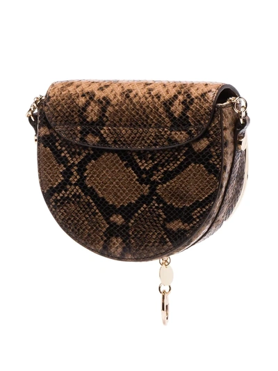 Shop See By Chloé Mara Snake-effect Crossbody Bag In Brown