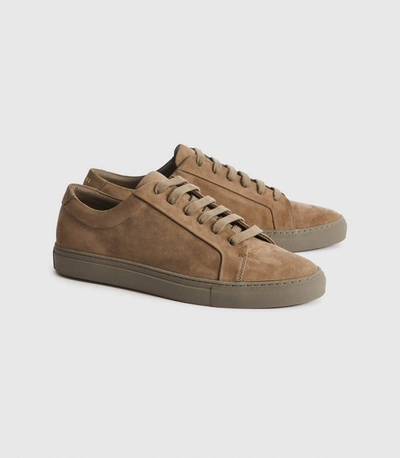 Shop Reiss Nubuck Leather Trainers In Taupe