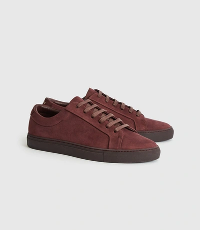 Shop Reiss Nubuck Leather Trainers In Bordeaux