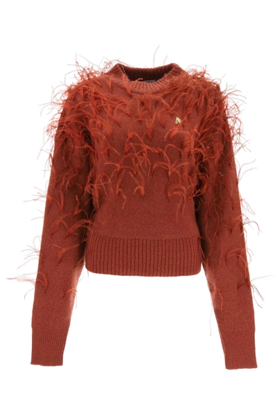 Shop Attico Sweater With Feathers In Marrone (brown)