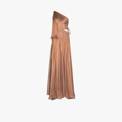 Shop Maria Lucia Hohan Matilda One Shoulder Gown In Pink