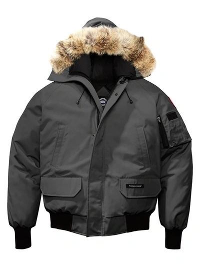 Shop Canada Goose Chilliwack Fur Hood Down Bomber In Graphite