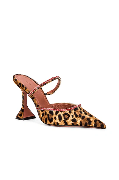 Shop Amina Muaddi Gilda Pony Mule In Leopard