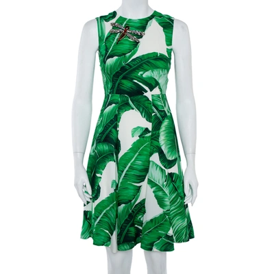 Pre-owned Dolce & Gabbana White & Green Banana Leaf Print Libellula Detail Short Dress Xs In Multicolor