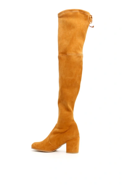 Shop Stuart Weitzman Suede Tieland Boots In Bridle