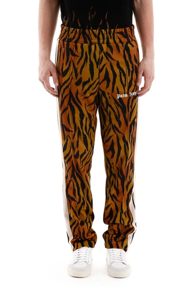 Shop Palm Angels Tiger Trackpants In Brown White