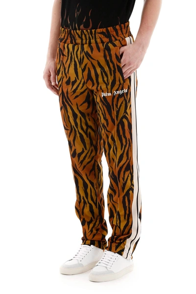 Shop Palm Angels Tiger Trackpants In Brown White