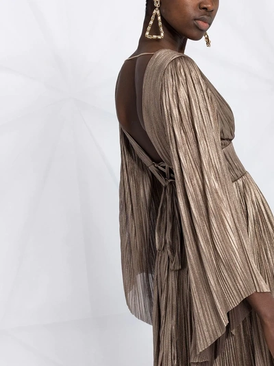 Shop Maria Lucia Hohan Zakiya Plissé Silk-blend Gown In Brown