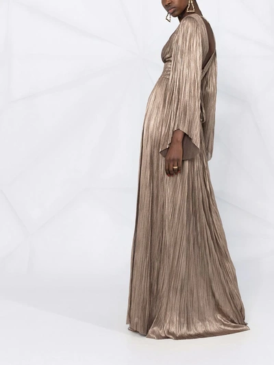 Shop Maria Lucia Hohan Zakiya Plissé Silk-blend Gown In Brown