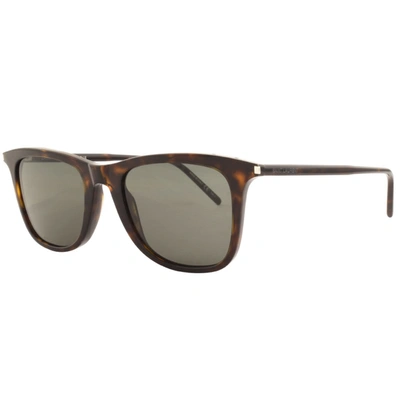 Shop Saint Laurent 304 007 Sunglasses Brown