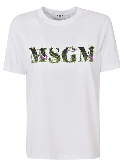 Shop Msgm Embroidered T-shirt In White