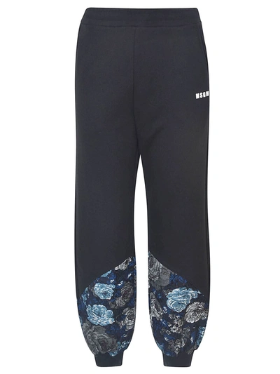 Shop Msgm Black Sweatpants With Floral Print