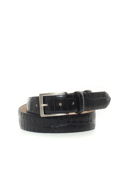 Shop Angelo Nardelli Belt In Black
