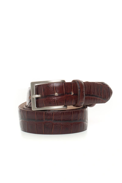 Shop Angelo Nardelli Belt In Bordeau