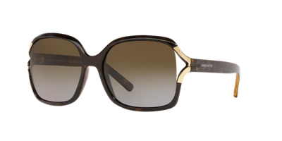 Shop Sunglass Hut Collection Woman Sunglasses Hu2002 In Polar Brown Gradient Grey