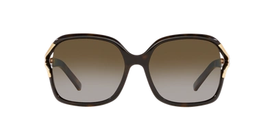 Sunglass Hut Collection Woman Sunglasses Hu2002 In Polar Brown Gradient Grey