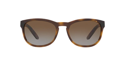 Shop Sunglass Hut Collection Unisex Sunglass Hu2015 In Brown Gradient