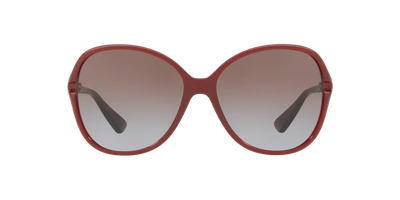 Sunglass Hut Collection Sunglasses, Hu2001 60 In Violet Gradient Brown