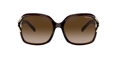 Sunglass Hut Collection Women's Polarized Sunglasses, Hu2002 In Gradient Brown