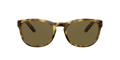 Sunglass Hut Kollektion Sunglass Hut Collection Unisex  Hu2015 In Dark Brown
