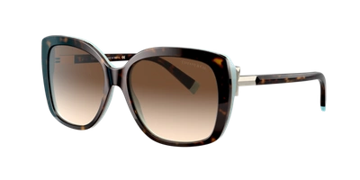 Shop Tiffany & Co . Woman Sunglass Tf4171 In Brown Gradient