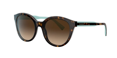 Shop Tiffany & Co . Woman Sunglass Tf4164 In Brown Gradient