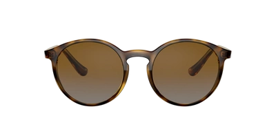 Sunglass Hut Kollektion Sunglass Hut Collection Unisex  Hu2019 In Polar Brown Gradient Grey