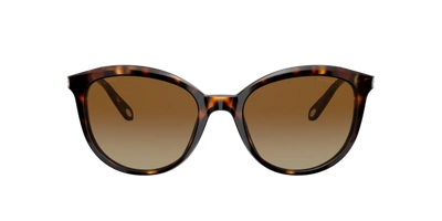 Shop Tiffany & Co . Woman Sunglass Tf4117b In Polar Brown Gradient