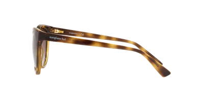 Sunglass Hut Collection Hu2011 53 In Brown Gradient
