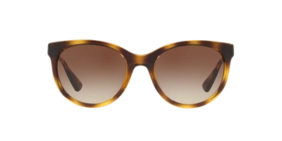 Shop Sunglass Hut Collection Woman Sunglass Hu2011 In Brown Gradient