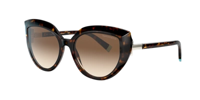 Shop Tiffany & Co . Woman Sunglass Tf4170 In Brown Gradient
