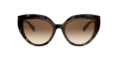 Shop Tiffany & Co . Woman Sunglass Tf4170 In Brown Gradient