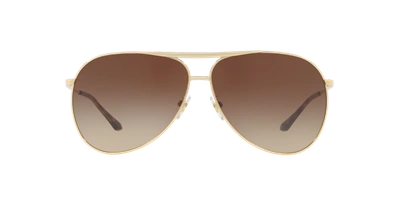 Shop Sunglass Hut Collection Unisex Sunglasses Hu1006 In Brown Gradient