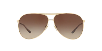 Sunglass Hut Collection Hu1006 64 In Brown Gradient