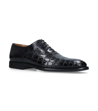 Shop Brotini Crocodile Oxford Shoes In Black