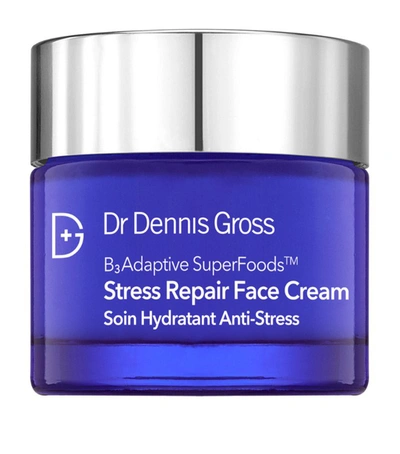 Shop Dr Dennis Gross Stress Repair Face Cream (60ml) In Multi