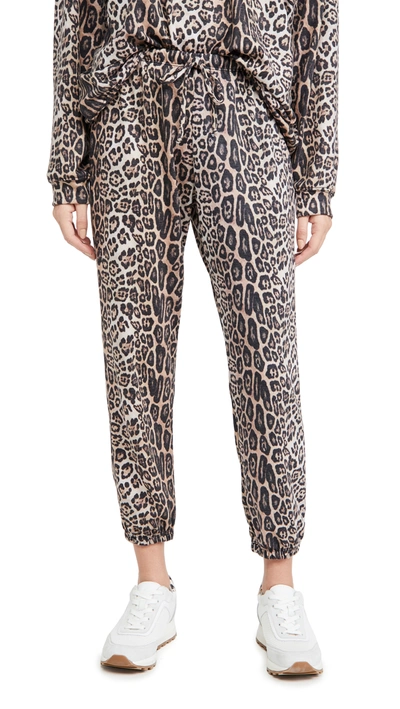 Shop Onzie Fleece Sweatpants In Leopard