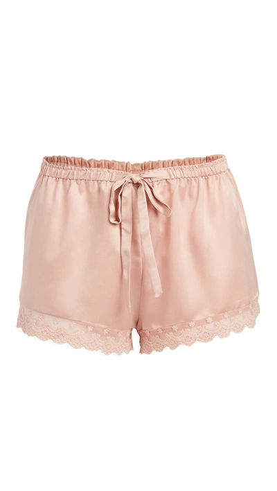 Shop Flora Nikrooz Solid Charmeuse Shorts With Lace In Apricot