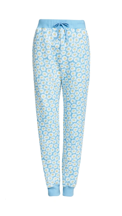Shop Hvn Sweatpants In Blue Daisy